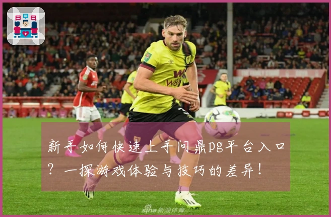 新手如何快速上手问鼎pg平台入口？一探游戏体验与技巧的差异！