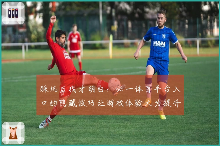 踩坑后我才明白，必一体育平台入口的隐藏技巧让游戏体验大为提升