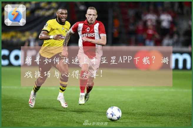 新手如何快速上手亚星APP下载？游戏技巧与心得共享！