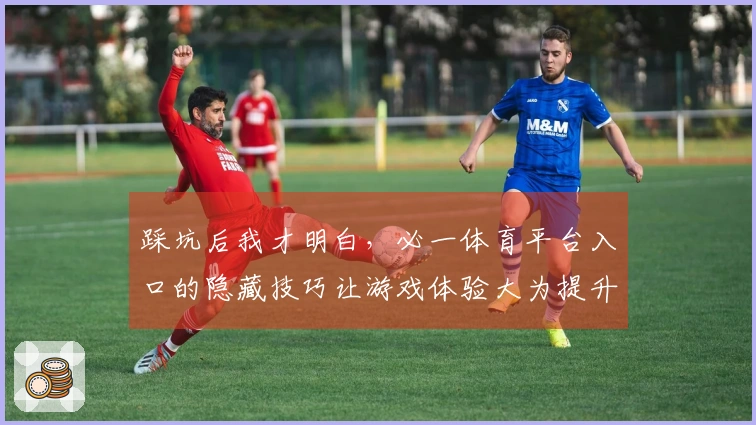 踩坑后我才明白，必一体育平台入口的隐藏技巧让游戏体验大为提升